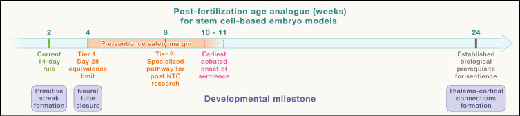 Cell Fate Engineering Lab